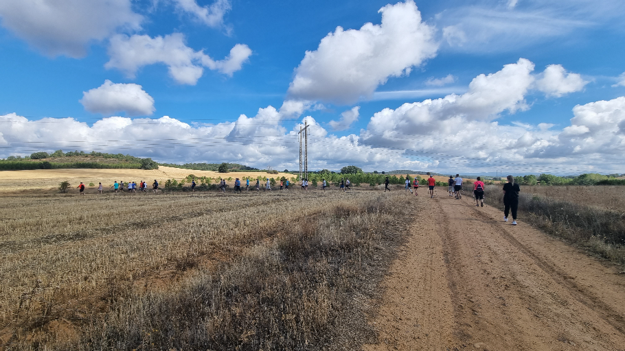 AVOnordic - personas realizando marcha nórdica por camino de tierra